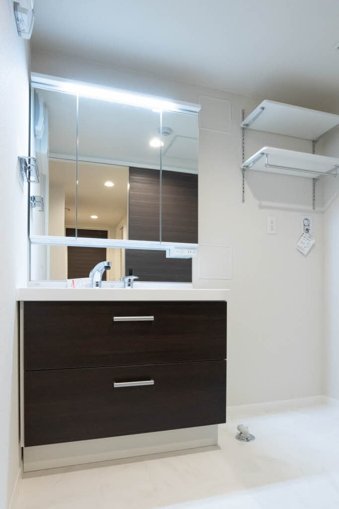 ラ　メゾン　デ　プレズィール 0301号-8