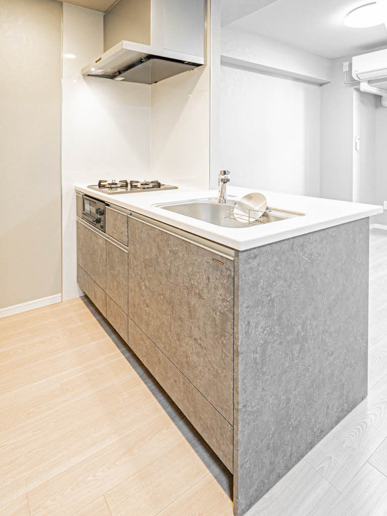 サンエール南堀江 0505号-8