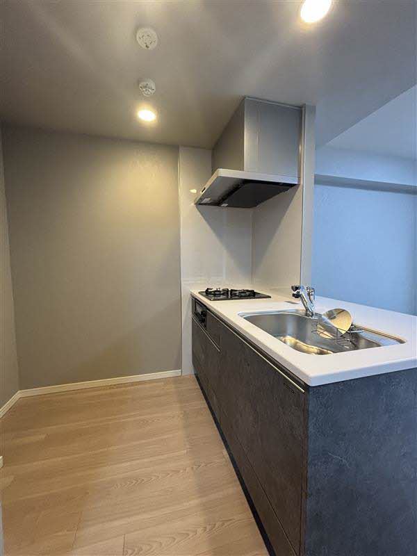 サンエール南堀江 0705号-4