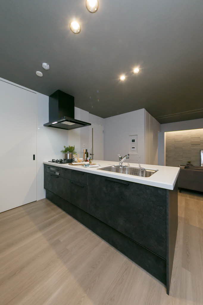 Shamaison Ecracie 大屋町 0401号-10