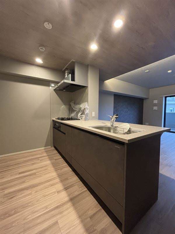 リビエナ グラン 新梅田 0605号-6