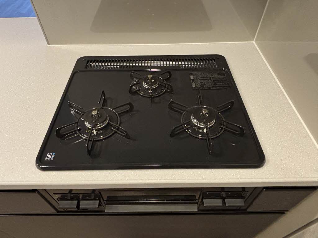 リビエナ グラン 新梅田 0810号-12