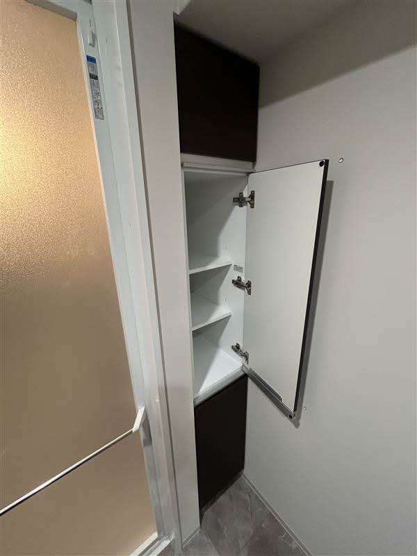 リビエナ グラン 新梅田 0913号-12