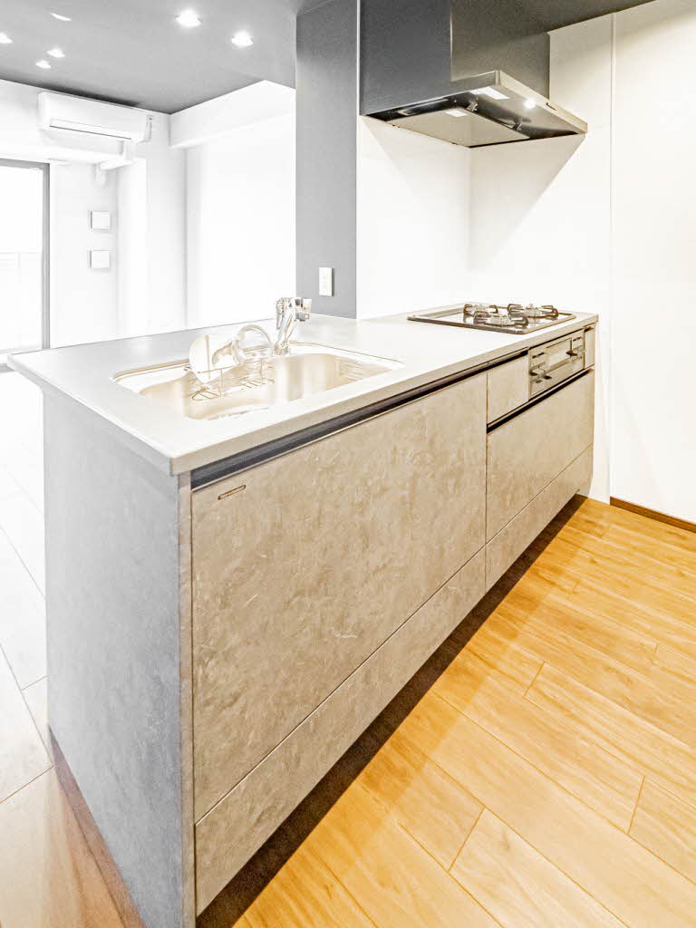 セントリヴィエ大阪梅田 0806号-7