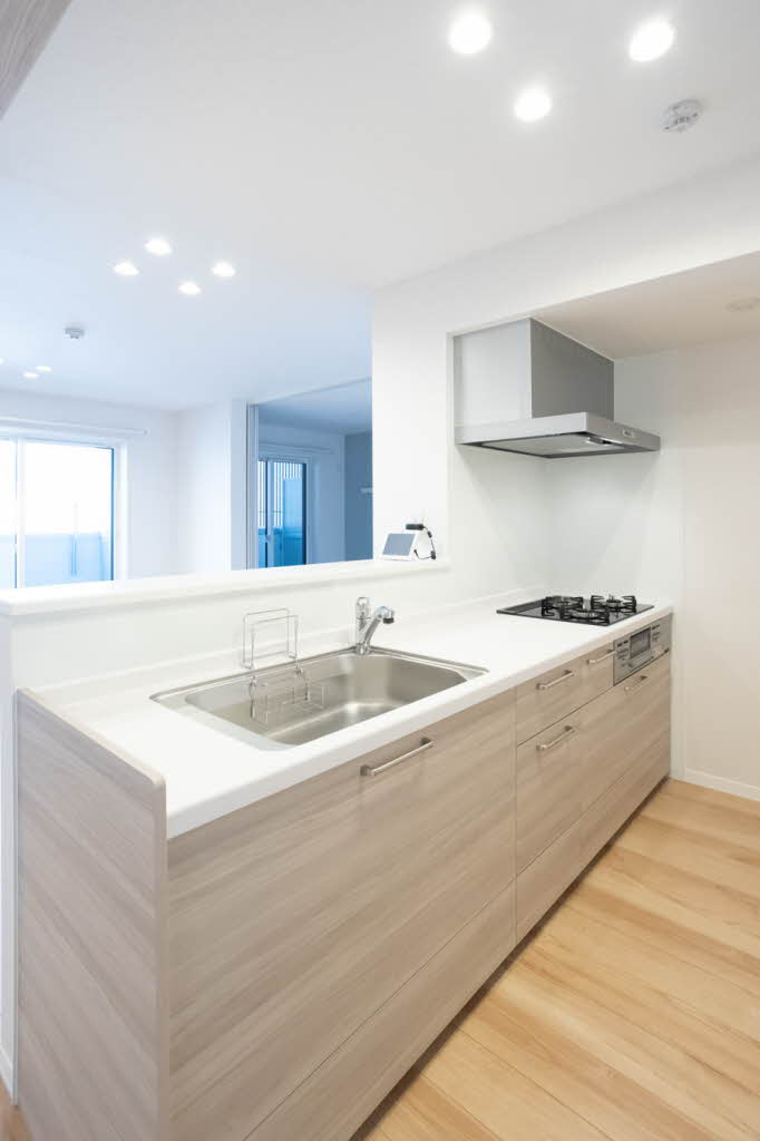 フレシア天王寺 0310号-8