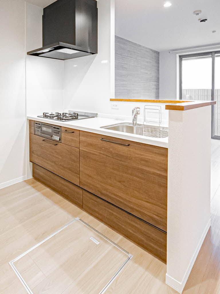 ＳｈａＭａｉｓｏｎ　Ｐｒｅｃｉｏｕｓ 0101号-7