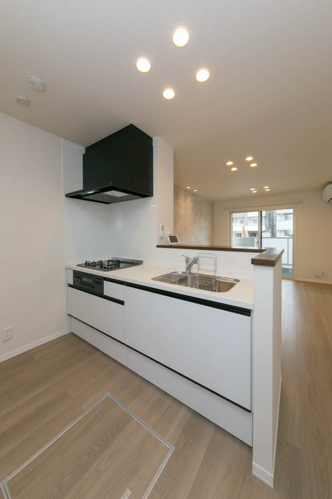 ラ　イースト 0101号-8