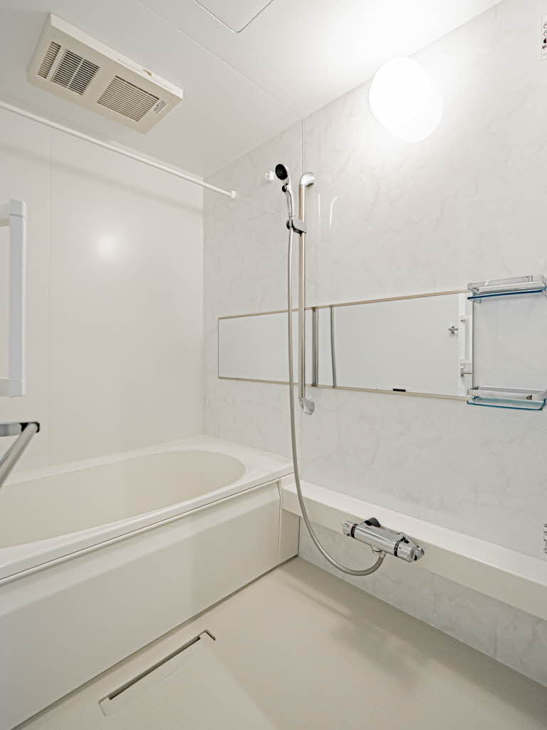 ＳｈａＭａｉｓｏｎ　ＹＡＨＥＩ　Ⅱ 0301号-6