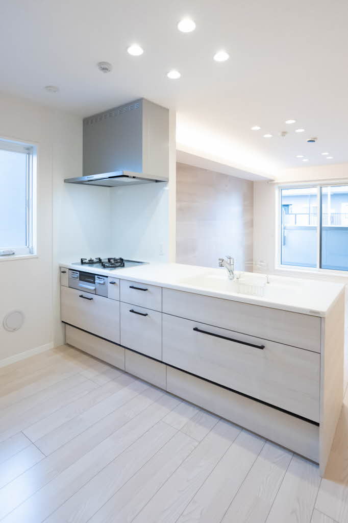 シャーメゾン　アプリクス 0301号-8