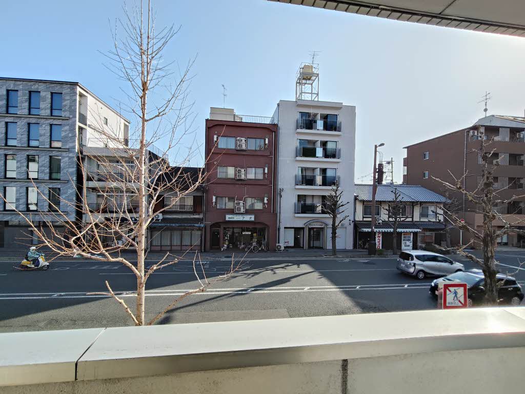 パスチャーＭ 0203号-12