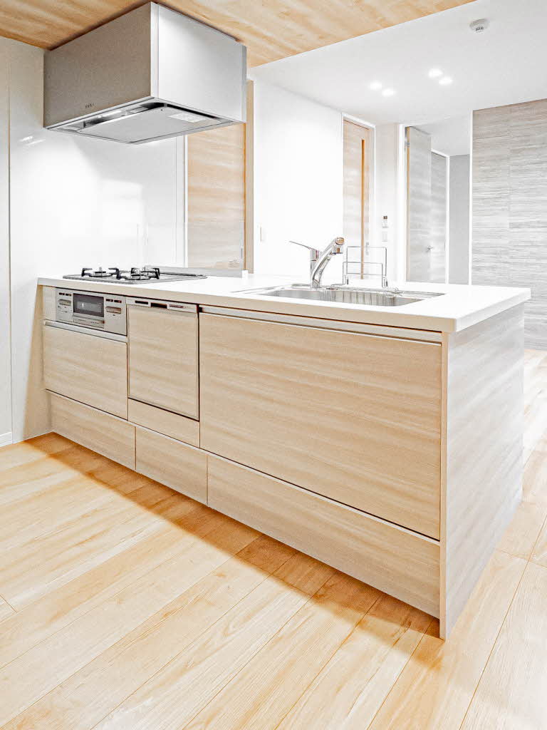 エスペランサ北田辺Ⅱ 0201号-8