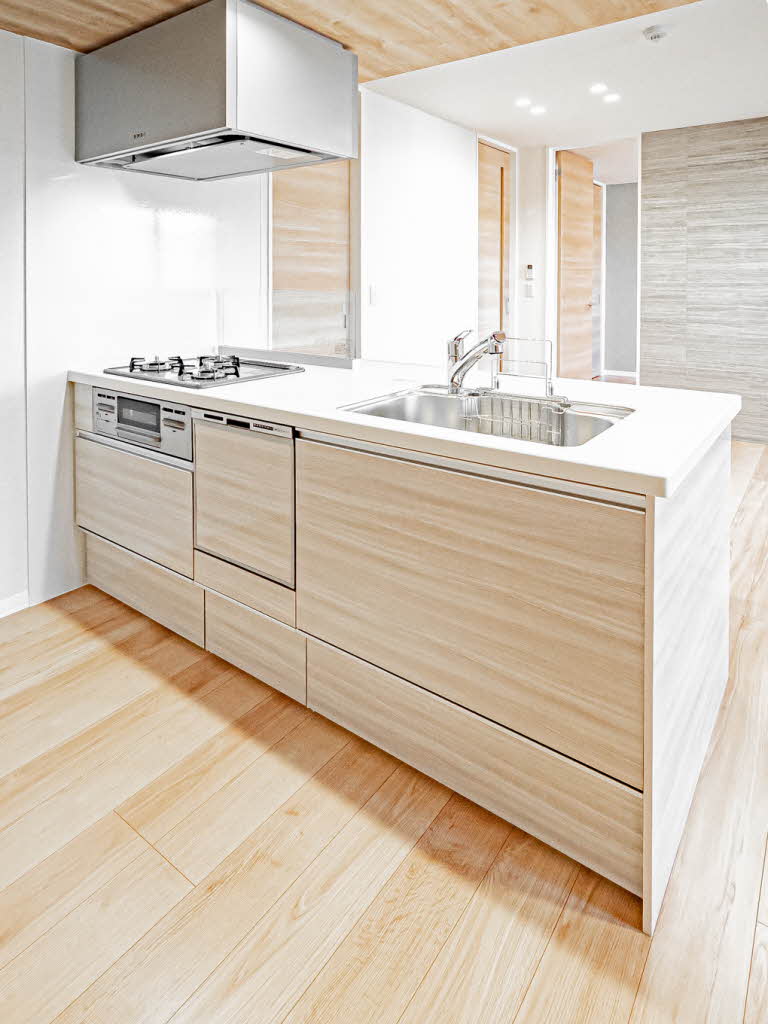 エスペランサ北田辺Ⅱ 0301号-8