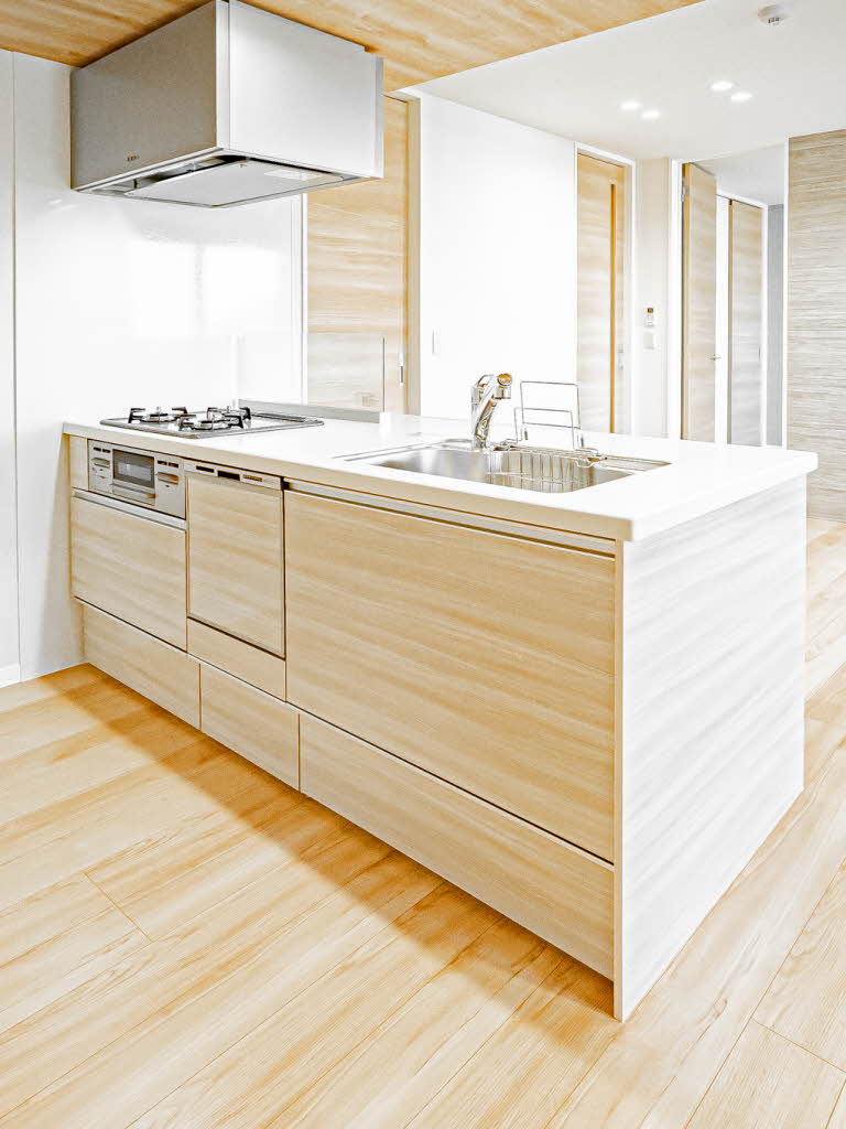 エスペランサ北田辺Ⅱ 0401号-8