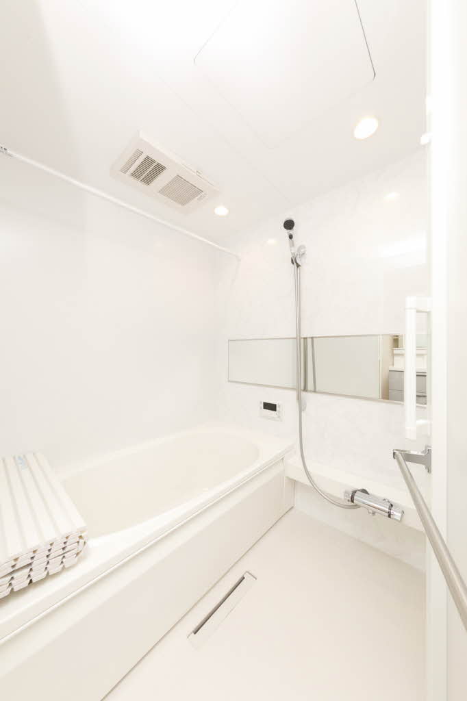 シャーメゾン　フェレザ 0101号-6