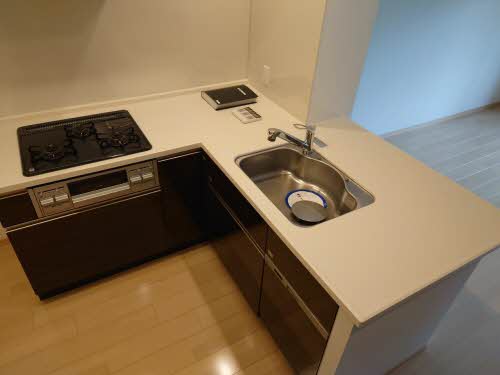 ロマンレジデンス 0305号-5