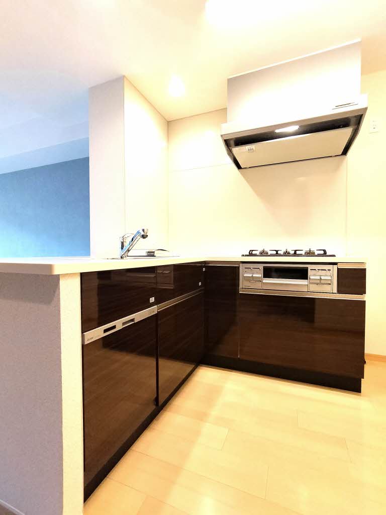 ロマンレジデンス 0306号-5