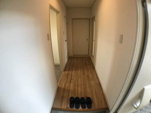 スウィートオクトパス. 0102号-2