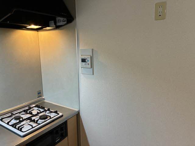 ＰＩＮＥ　ＨＯＵＳＥ 0102号-4