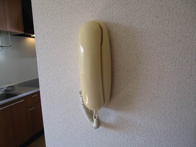 ヴィラ　パストラル 0201号-11