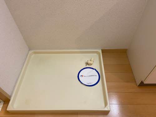 Ａｖｅｎｕｅ　Ｋ 0102号-11