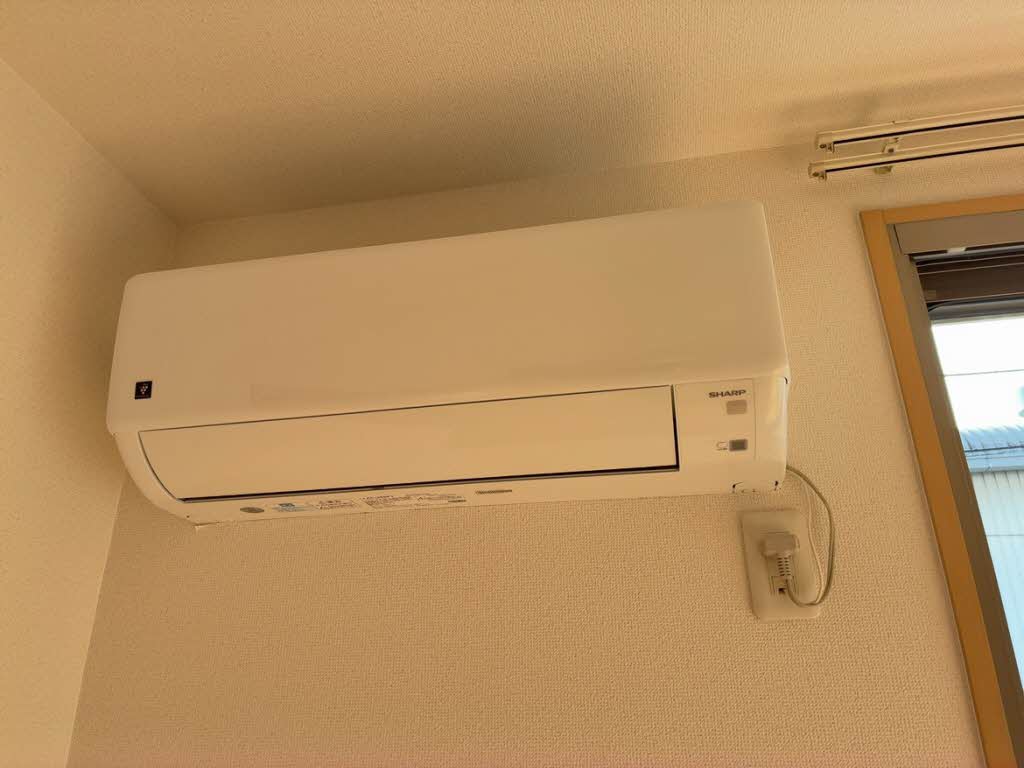 サンク テール 0103号-12