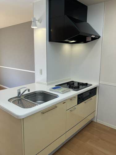 アヴニール（Ａｖｅｎｉｒ） 0213号-8