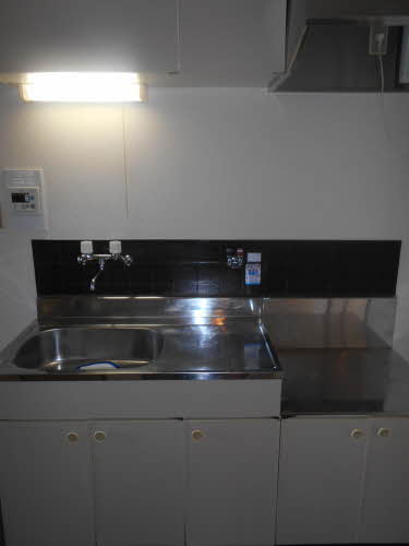 ヴィラホワイト 0103号-3