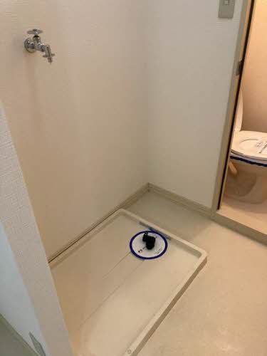 ＢＬＯＯＭ　ＣＯＵＲＴ 0105号-7