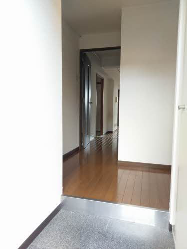 COZY COURT M 0205号-11