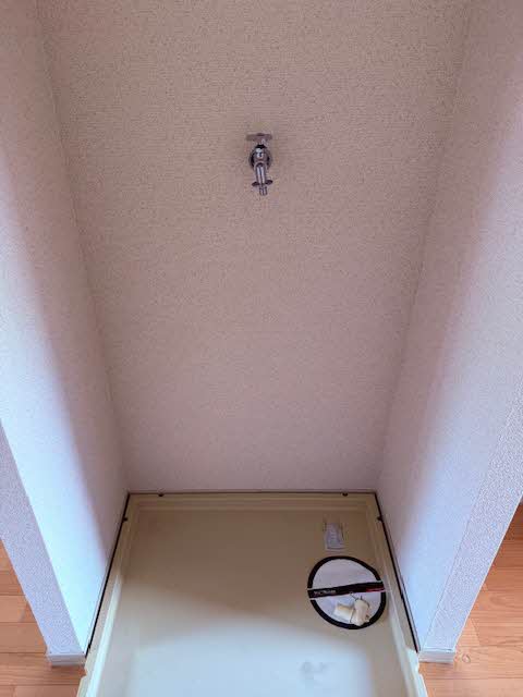その他画像8