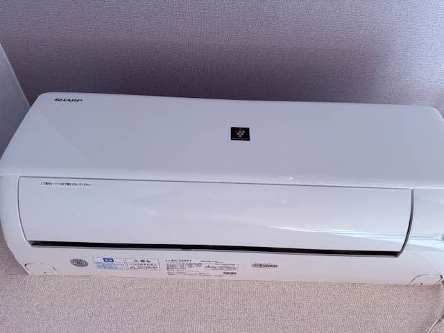 その他画像11