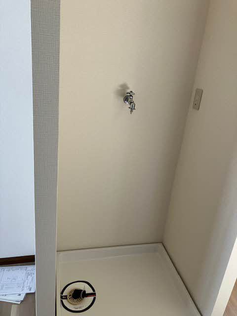 ドミール澤野井 0102号-8