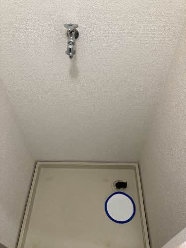 ステラハウス光 0101号-6