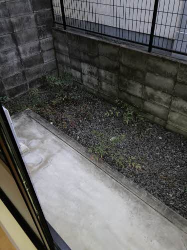 ステラハウス光 0101号-8