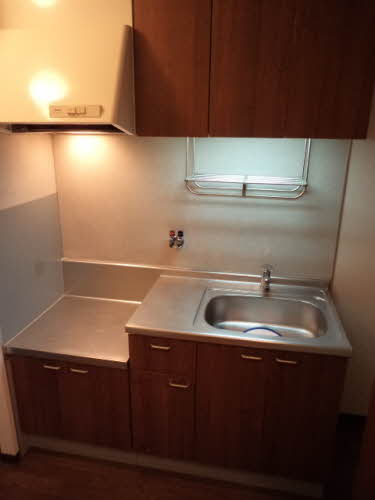 メゾン・ド・パーシモン 0203号-5