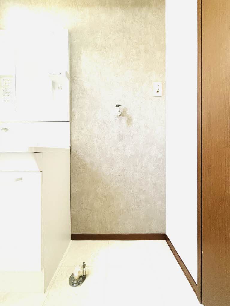 アイリス正道 C201号-15