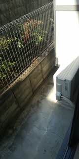 アイザック・ラボ 0105号-10