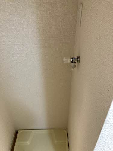 ハミングバード 0202号-8