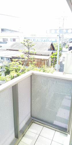 Ｌｅ　Ｐｌａｉｓｉｒ 0202号-8