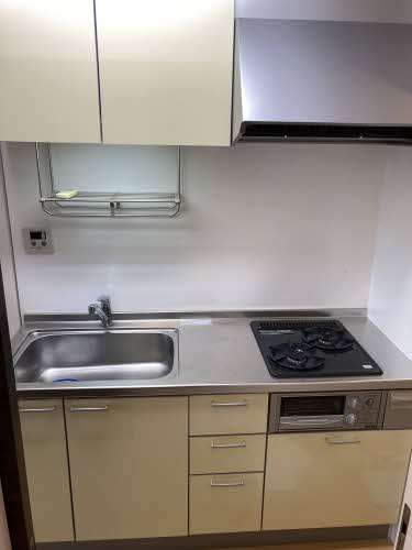 スプリング大将軍 0207号-4