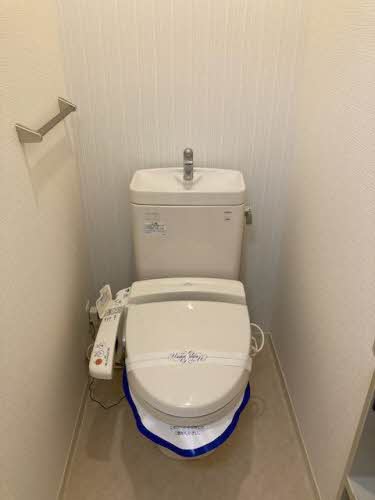 メゾンＤＡＩＤＯ 0103号-8