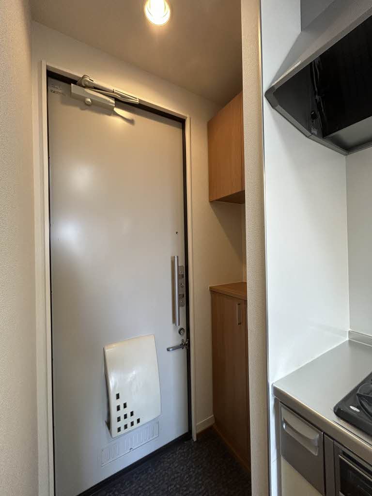 Ｃａｌｍｅ　Ｌａｒｇｅ　Ｊ． 0205号-10