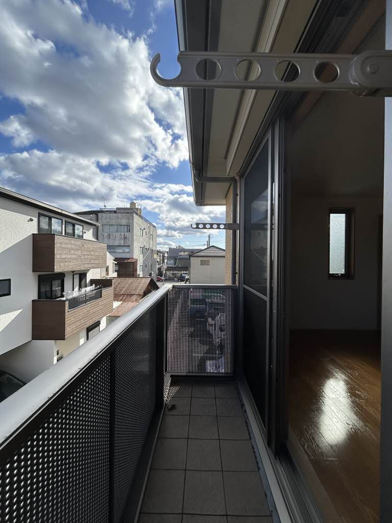 Ｃａｌｍｅ　Ｌａｒｇｅ　Ｊ． 0205号-12