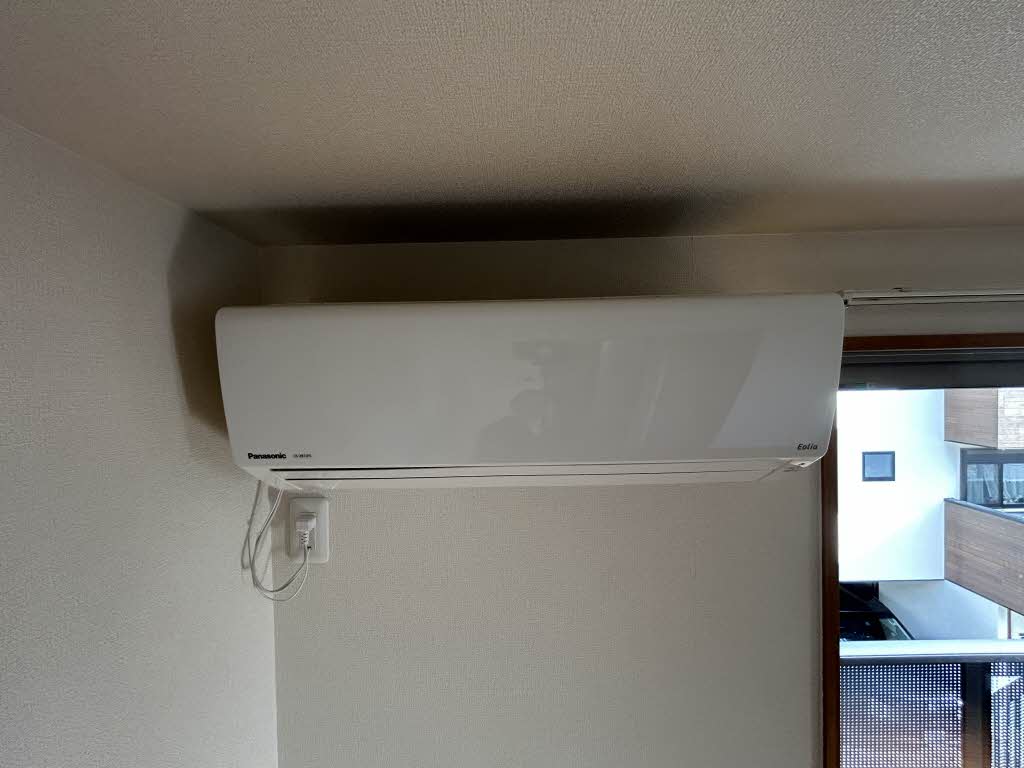 Ｃａｌｍｅ　Ｌａｒｇｅ　Ｊ． 0205号-13