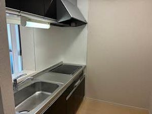 シャーメゾンひまわり 0105号-5