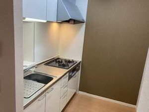 シャーメゾン　メルヴィーユ 0106号-3