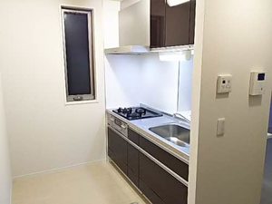 シャーメゾン柿の木 0101号-10