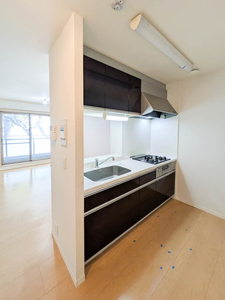 シャーメゾン　リヴィエール 0201号-3