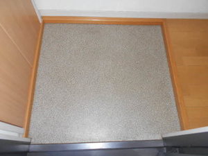 シャーメゾン田川北 B202号-3