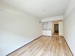 メゾン・ド・ラミール 0104号-3